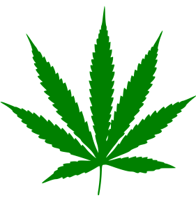 cannabis leaf