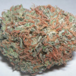 Bubba Kush source - Wikipedia