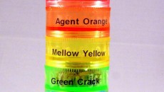Rainbow Stash source: BeyondChronic.com