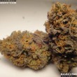Cherry Pie strain source: bigbudsmag.com