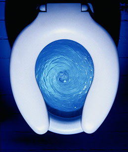 toilet_flush